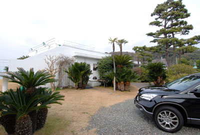 bd382433.jpg
