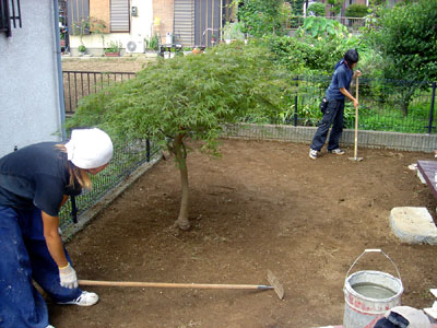 c438d25e.jpg