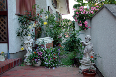 c86a70c6.jpg
