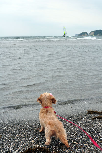 初めての海