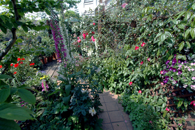 d752b239.jpg