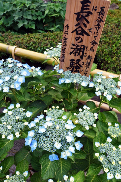 DSC00190