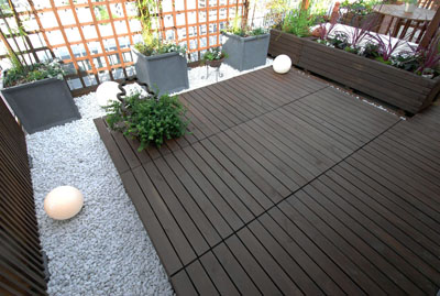 e5600930.jpg
