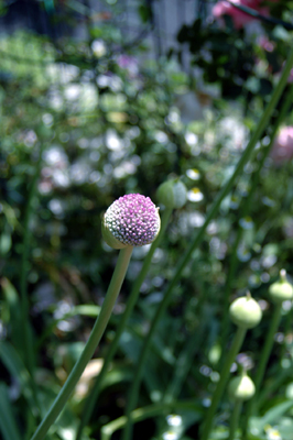 eb4c9925.jpg