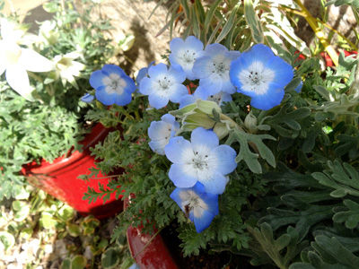 DSC04210