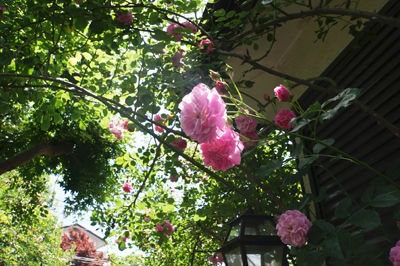 DSC06680
