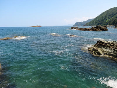DSC00602