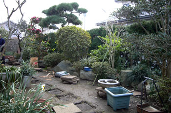 f5e38d13.jpg