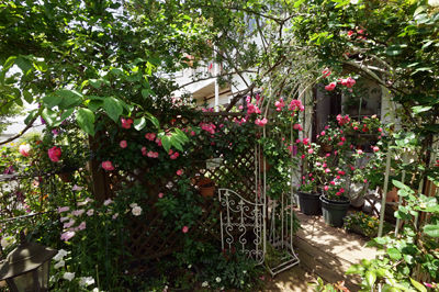 DSC06642