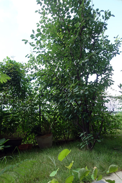 DSC04034