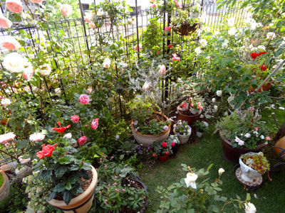 DSC06338