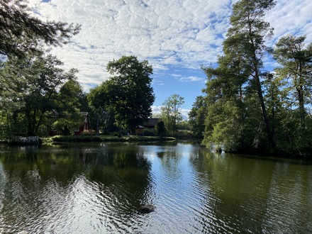 IMG_8504
