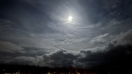 IMG_4564
