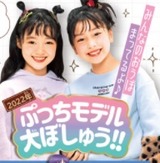 ぷっちモデル