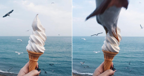 girl-gets-photobombed-by