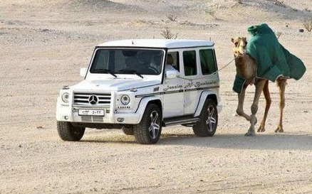 dubai-weird-12-1