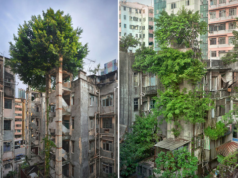 nature-reclaiming-abandoned-places-27