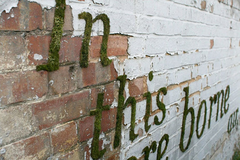 moss-graffiti-3