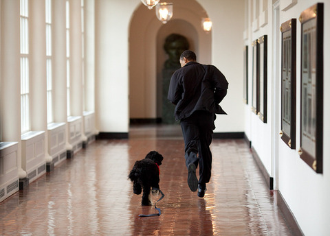 barack-obama-photographer-9