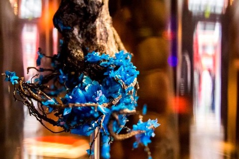 Encrusting-flora-with-stabilised-crystals-57c7ce4cb03b7__880