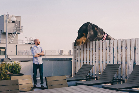 mitchboyervivianthegiantwienerdogdesignboom05