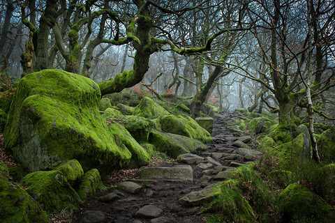amazing-paths-4