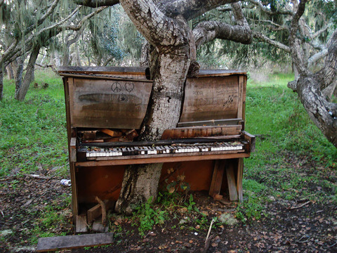 nature-reclaiming-abandoned-places-11