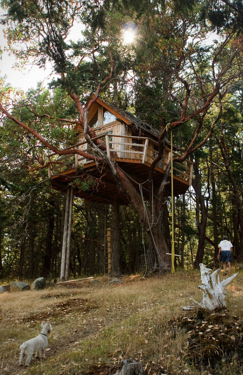 Post-The-Most-Beautiful-Treehouses-From-All-Over-The-World__700