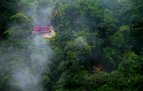 cozy-cabins-in-the-woods-575faa5e5bff5__880