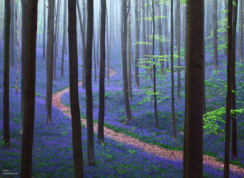 amazing-paths-2