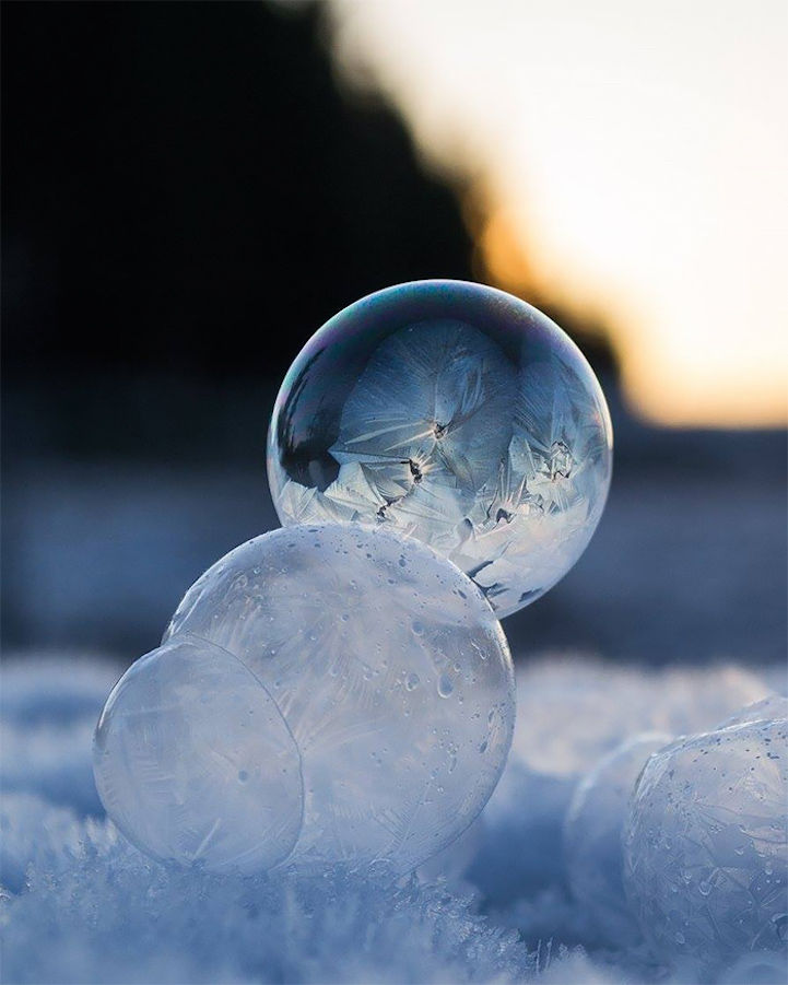 氷点下でシャボン玉が凍っていく写真 グラムニュース