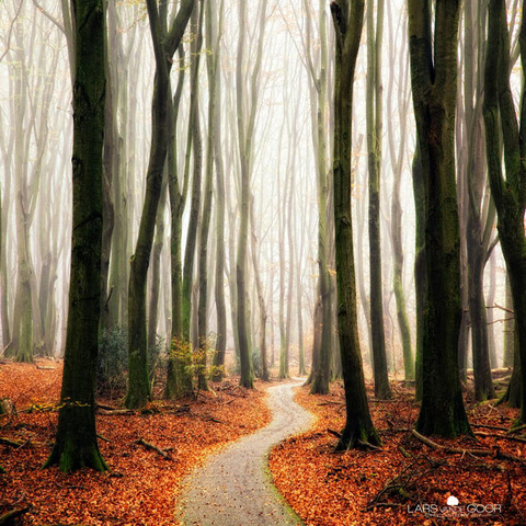 amazing-paths-14