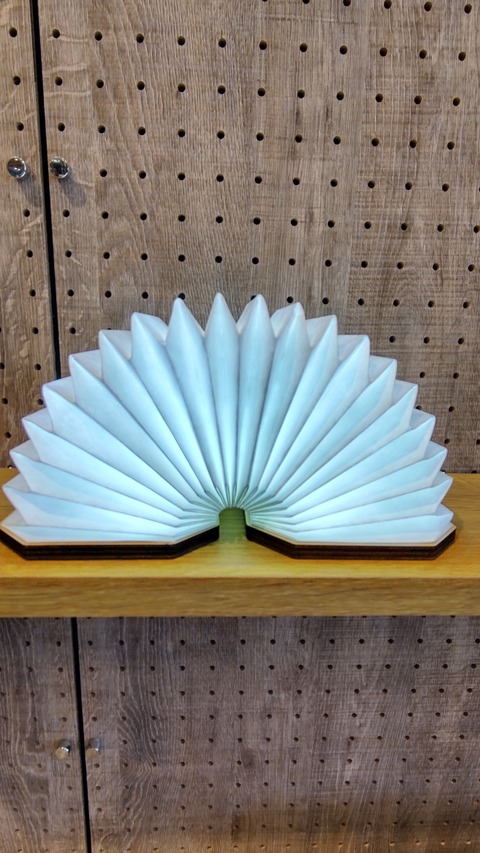 HORIZON_0001_BURST20241215120947524_COVER