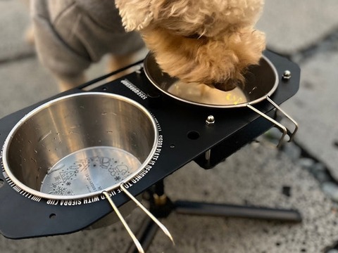 SIERRAPLATE_7_600x600