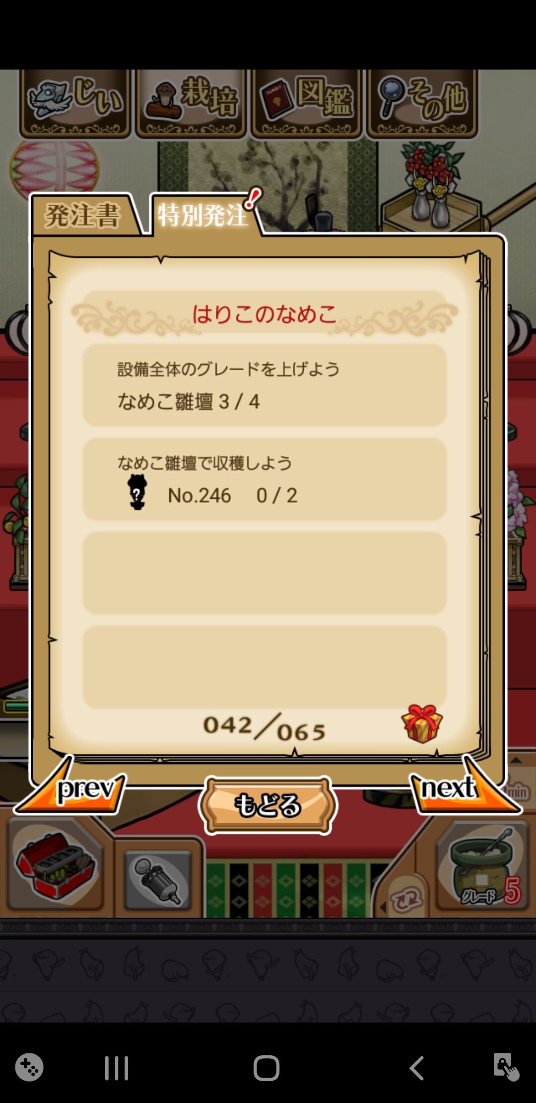 特別発注書 はりこのなめこ なめこ生活