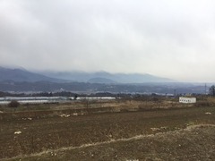 明野