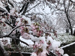 C2F4D703-054C-441B-A905-3BB140CB3CB6