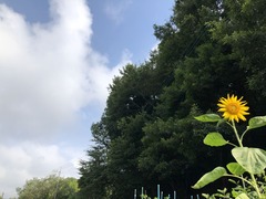 688F4B4A-056D-4674-B5DC-F654E5B09129