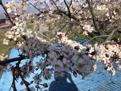 79FB62FF-7B15-47C3-BA39-1E7BEE4734D0