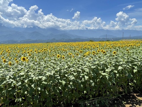 920AC357-5532-403A-8864-506AF63AD192