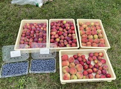 IMG_7968