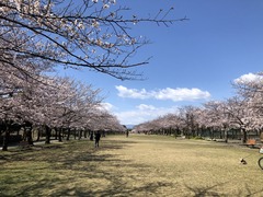 B6D21874-66EB-4D57-BCA5-E0CE6BB4938D