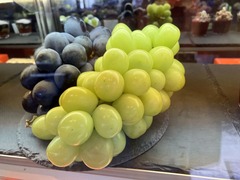 IMG_8499
