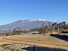 IMG_4686