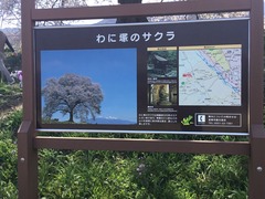 わに塚