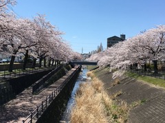 乞田川