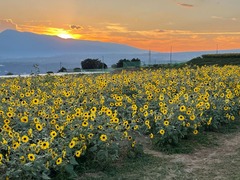 IMG_5673