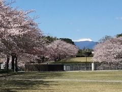 宝野公園