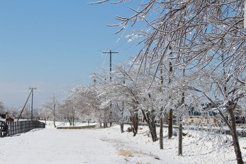 SIMG_7666済