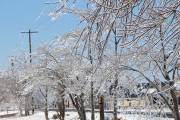 SIMG_7663済